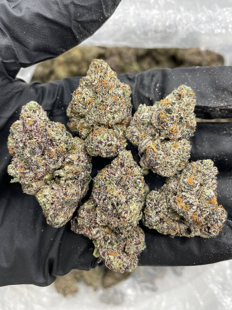 Watermelon Gruntz Strain