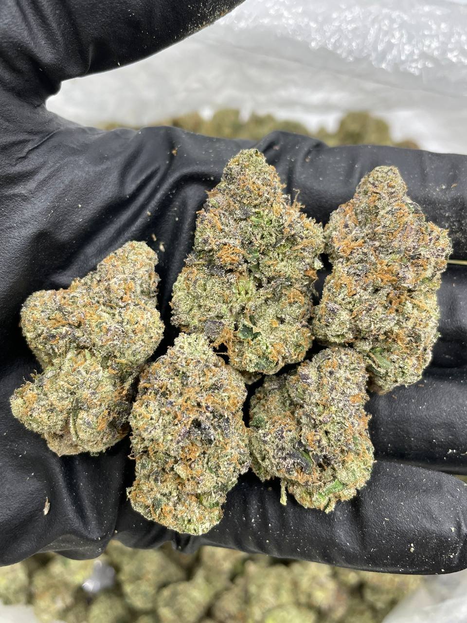 White Runtz Strain