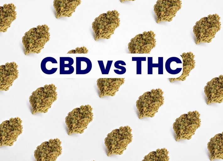 MAke Difference Between CBD and THC in 2025